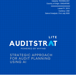 AuditStrat LITE Cover